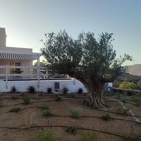 Bonsai Luxury Naxos Дом отдыха *