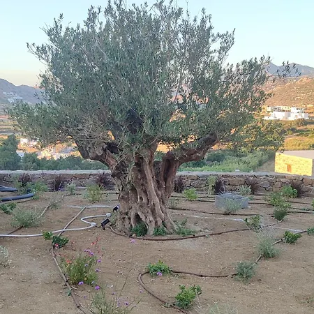 Bonsai Luxury Naxos Дом отдыха *